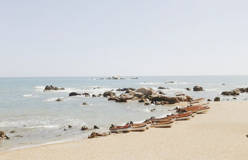 王楠4.jpg 王楠4.jpg