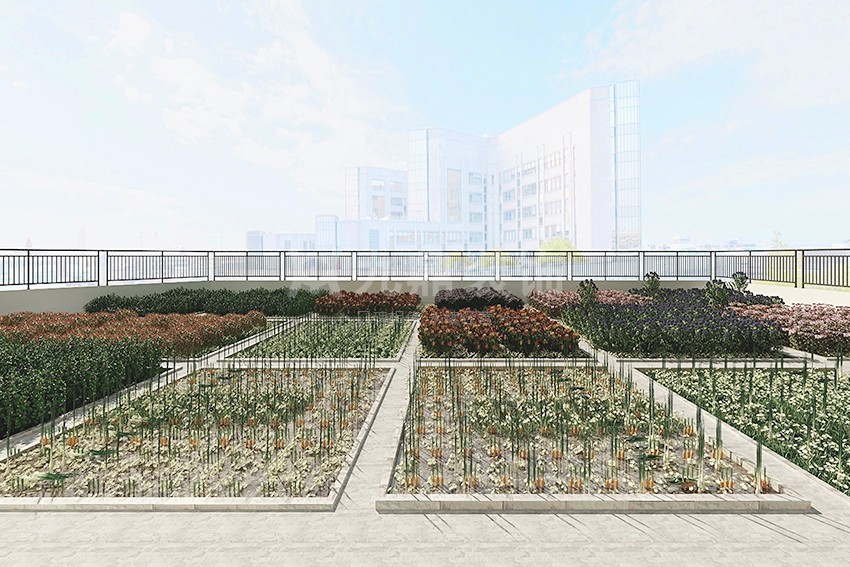 裝修效果圖 裝修效果圖